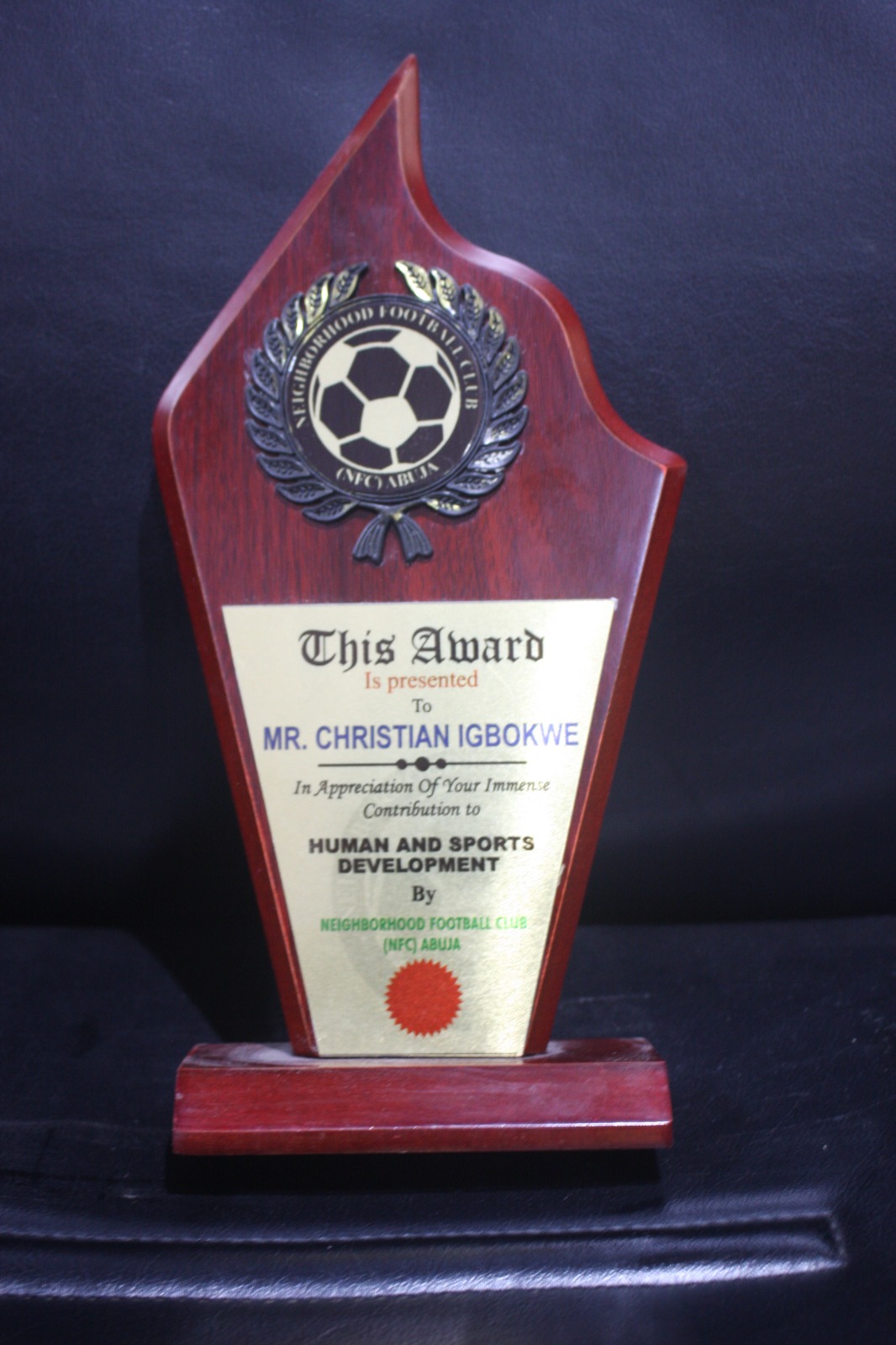 CIFNGO AWARDS
