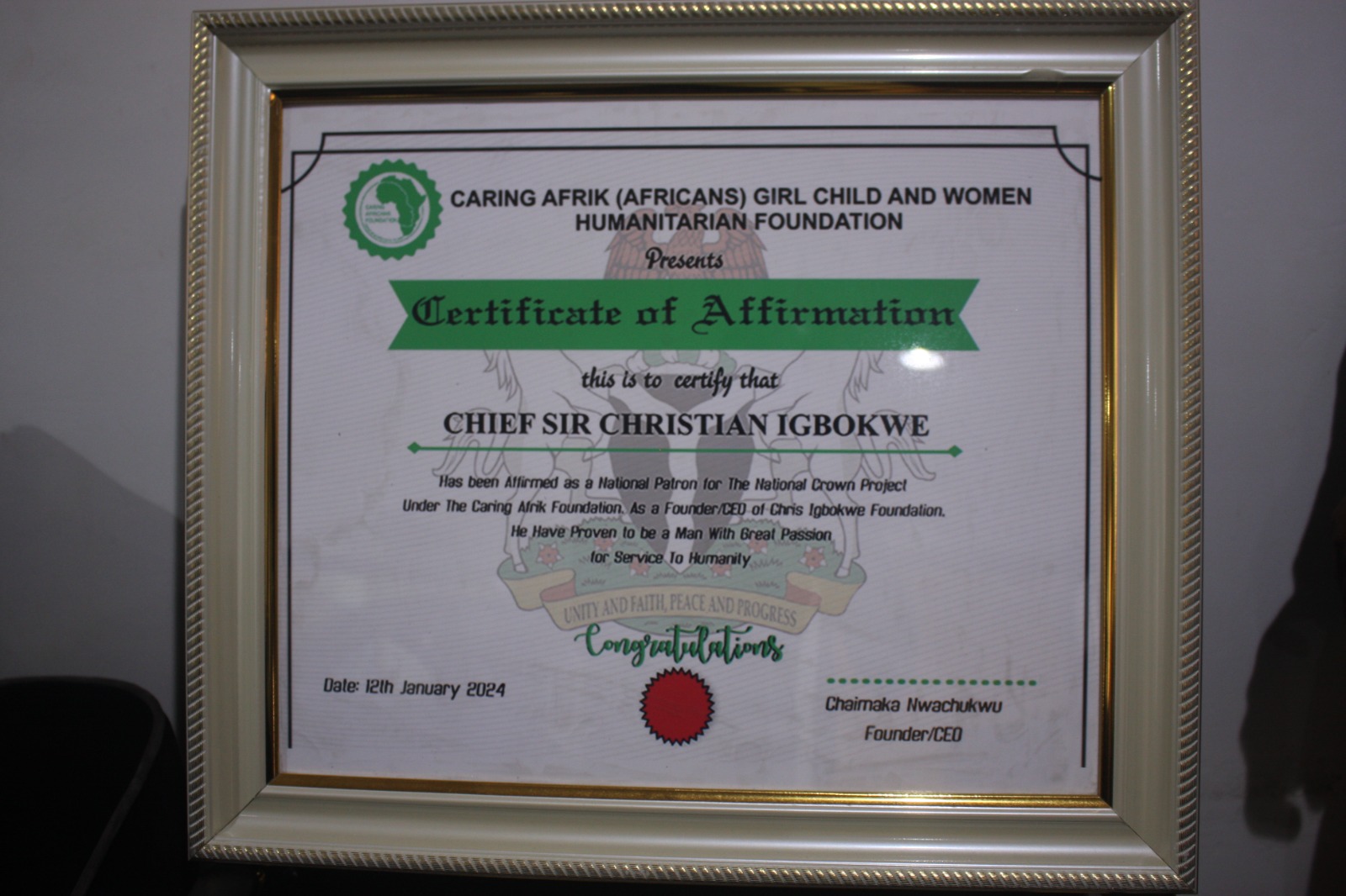 CIFNGO AWARDS